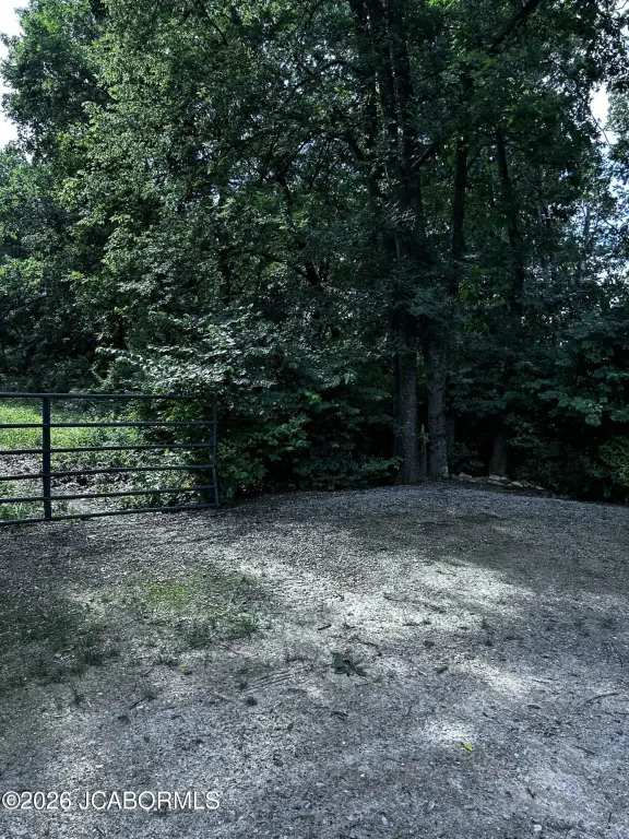 Picture 3
