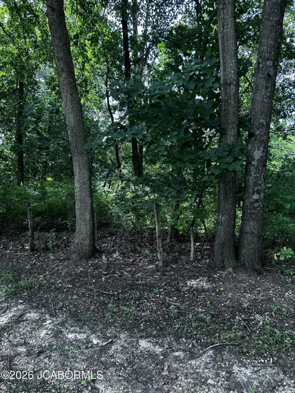 Picture 5