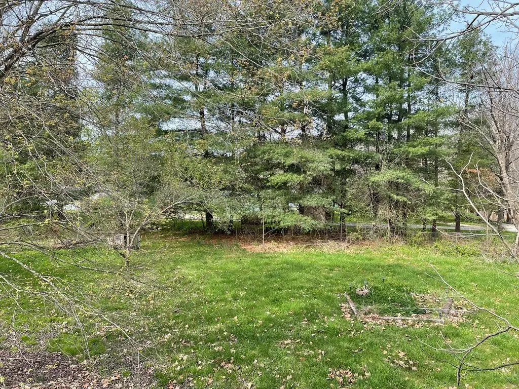 Picture 21