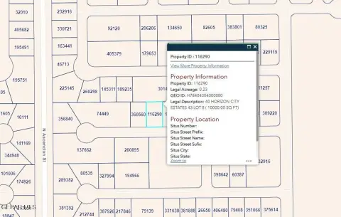 Horizon City Vacant Lot