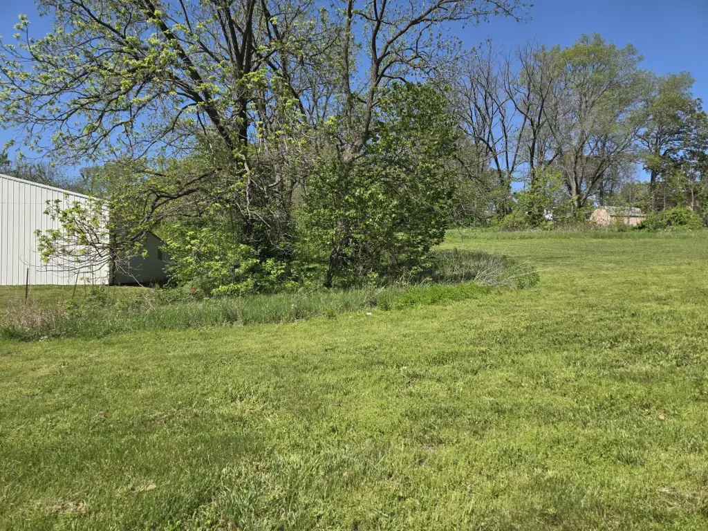 Picture 42