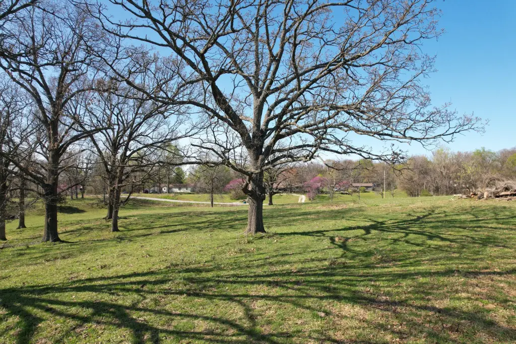 Picture 15