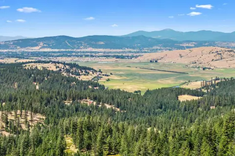 Timber-Designated Land Parcel