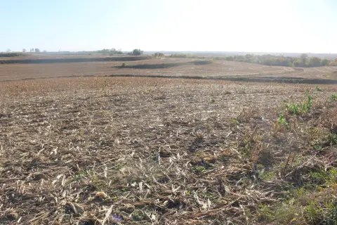 Farmland in Oakland, Iowa