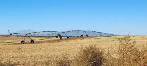 Productive Farm Ground with Irrigation