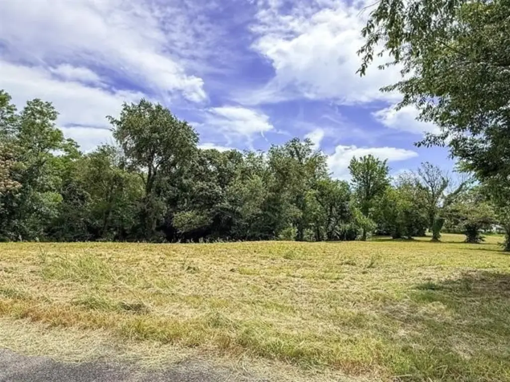 Picture 15