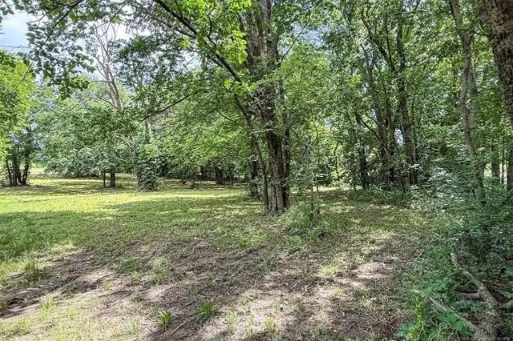 Picture 15