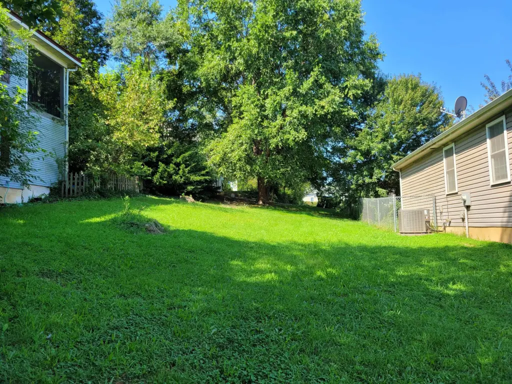 Picture 6