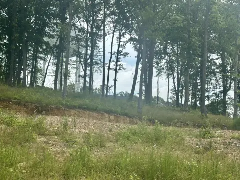 Residential Building Lot in Corbin