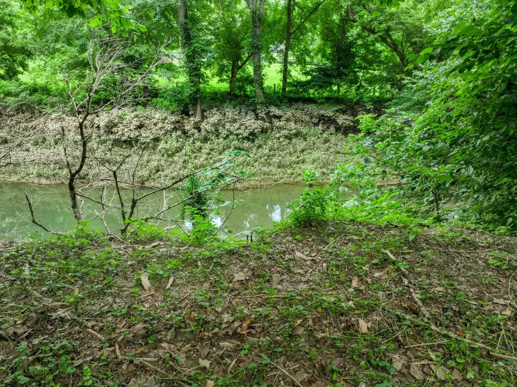 Picture 17