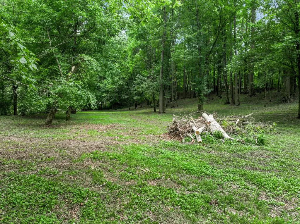 Picture 20