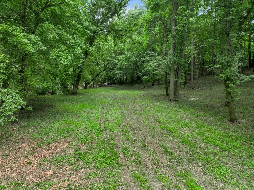 Picture 16