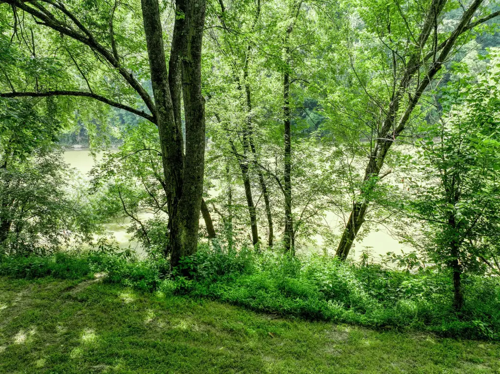 Picture 26