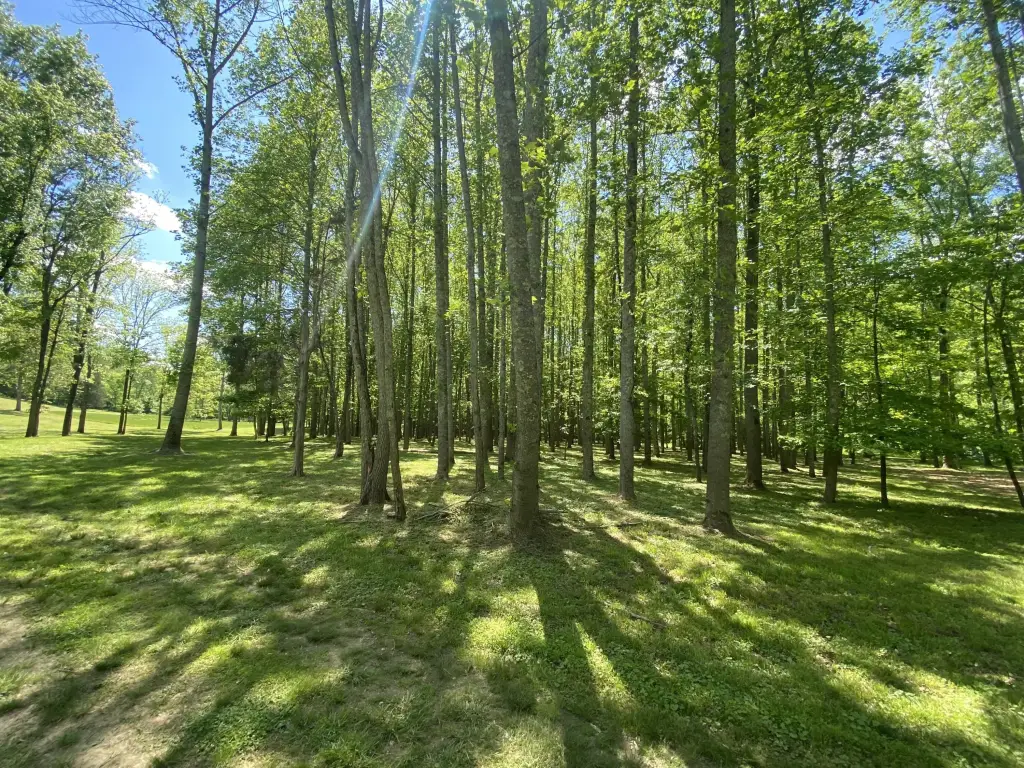 Picture 31
