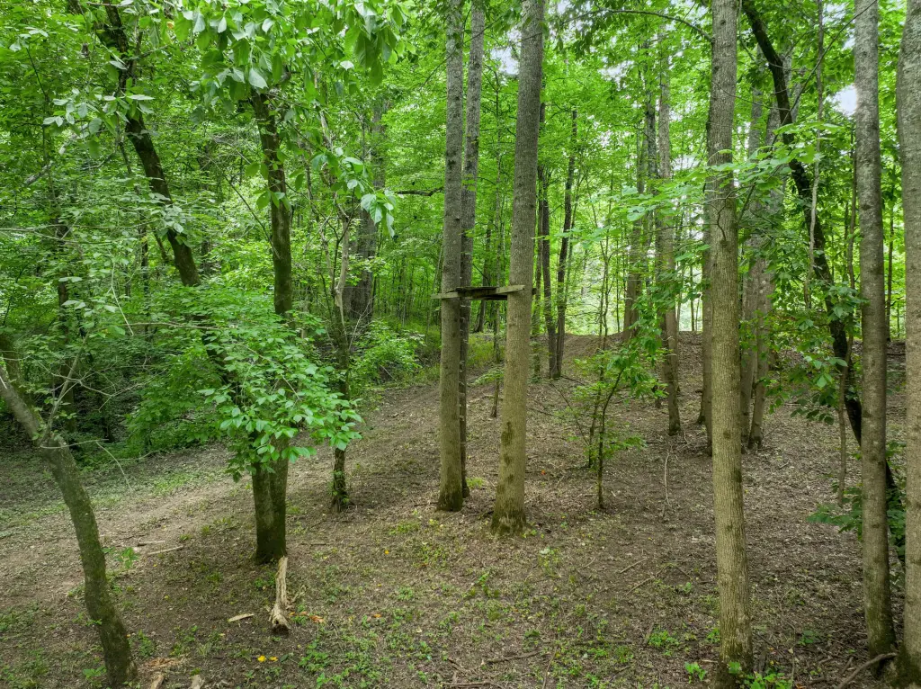 Picture 22