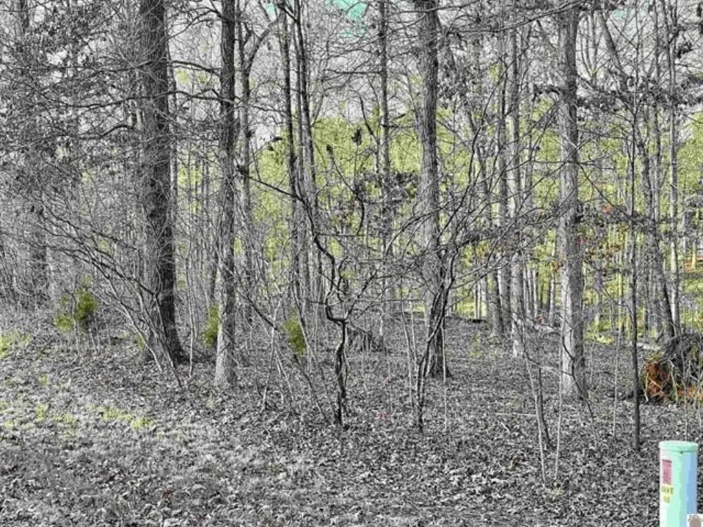 Picture 6