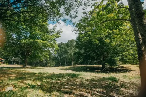 Dixmont Land Ready for Development