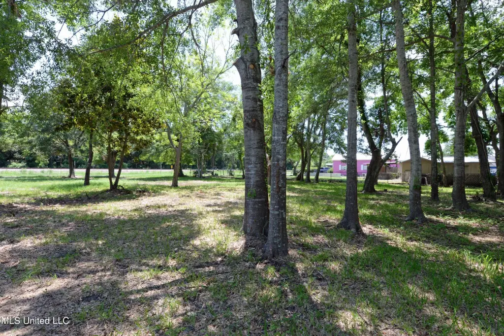 Picture 14