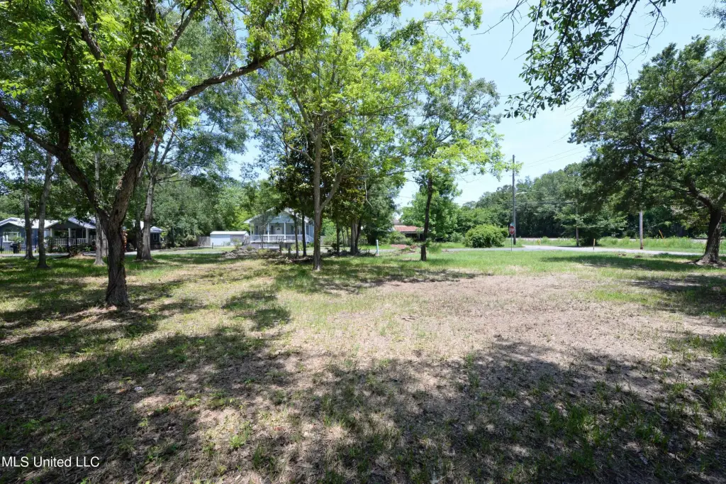 Picture 17