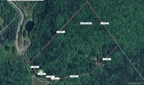 Heavily Wooded Hunting Land Parcel