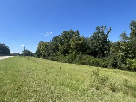 Recreational Land Near New Brockton