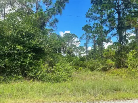 Lehigh Acres Residential Vacant Lot