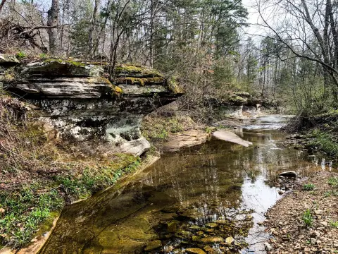 302 Acres of Missouri Land