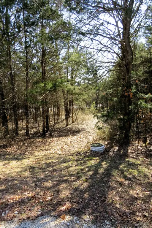Picture 5