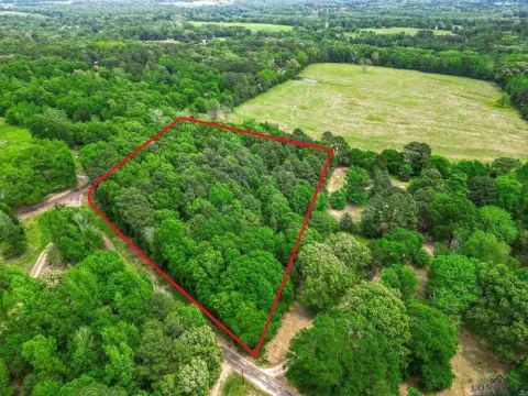 East Texas Land Opportunity