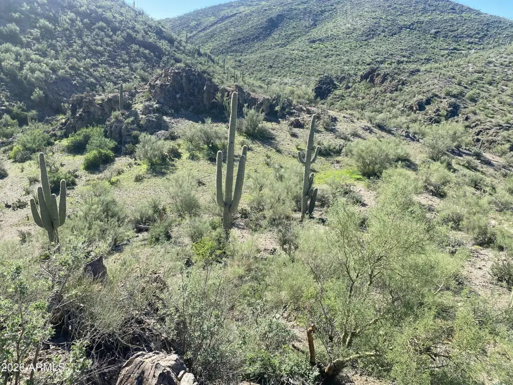 Picture 20
