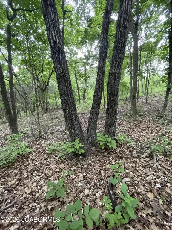 Picture 11