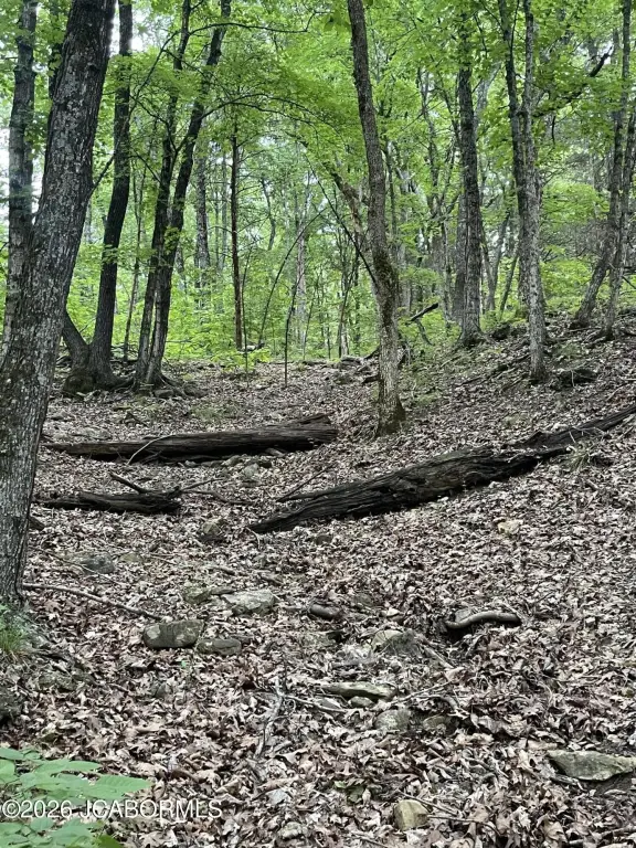 Picture 9