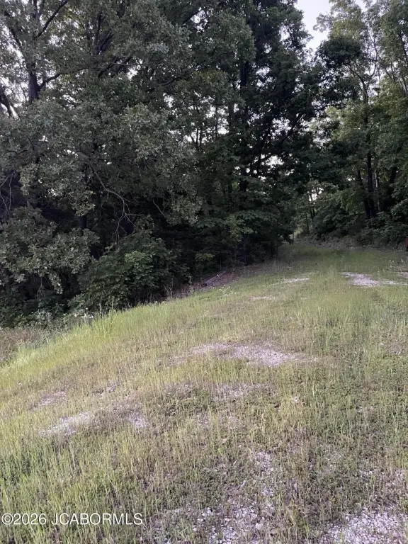 Picture 6