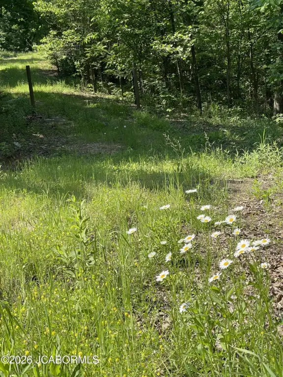 Picture 5