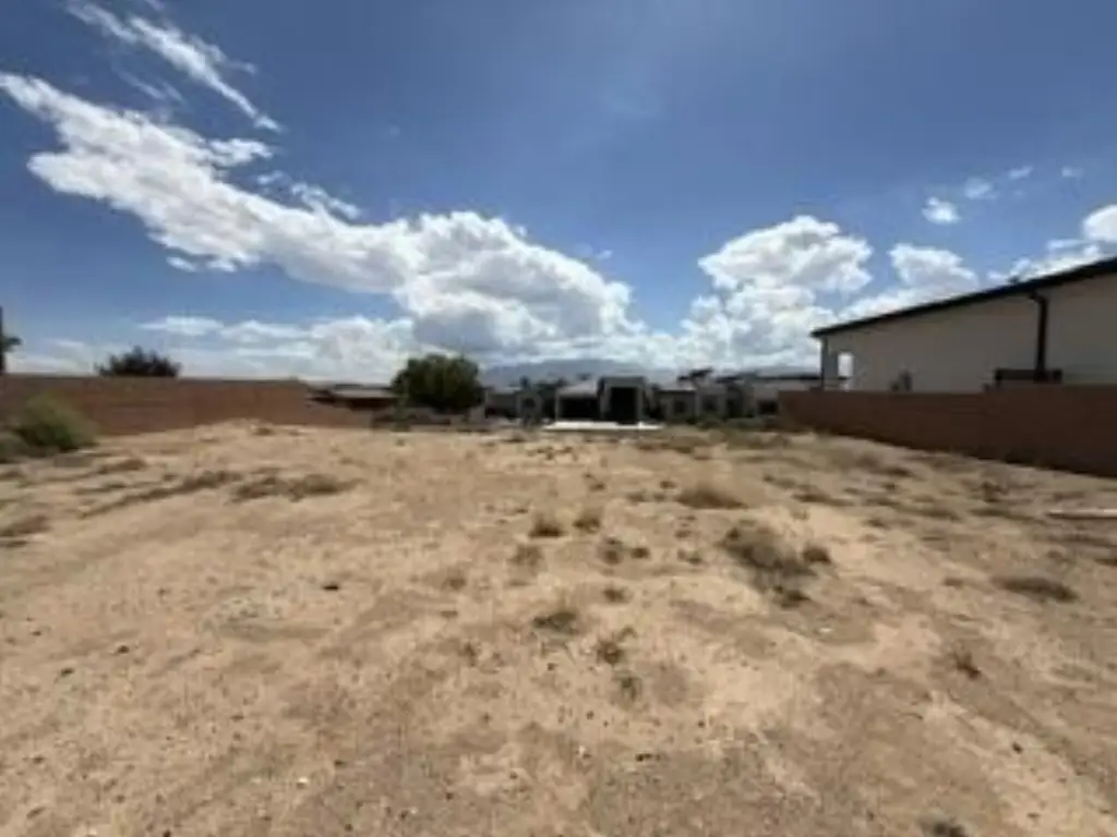 Picture 11