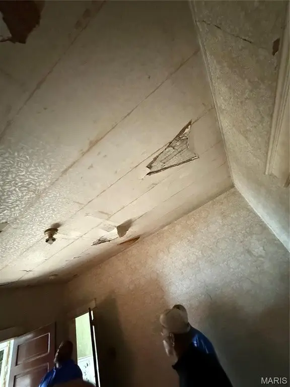 Picture 27