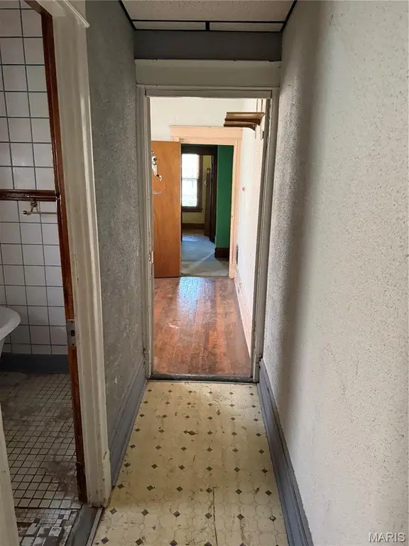 Picture 17