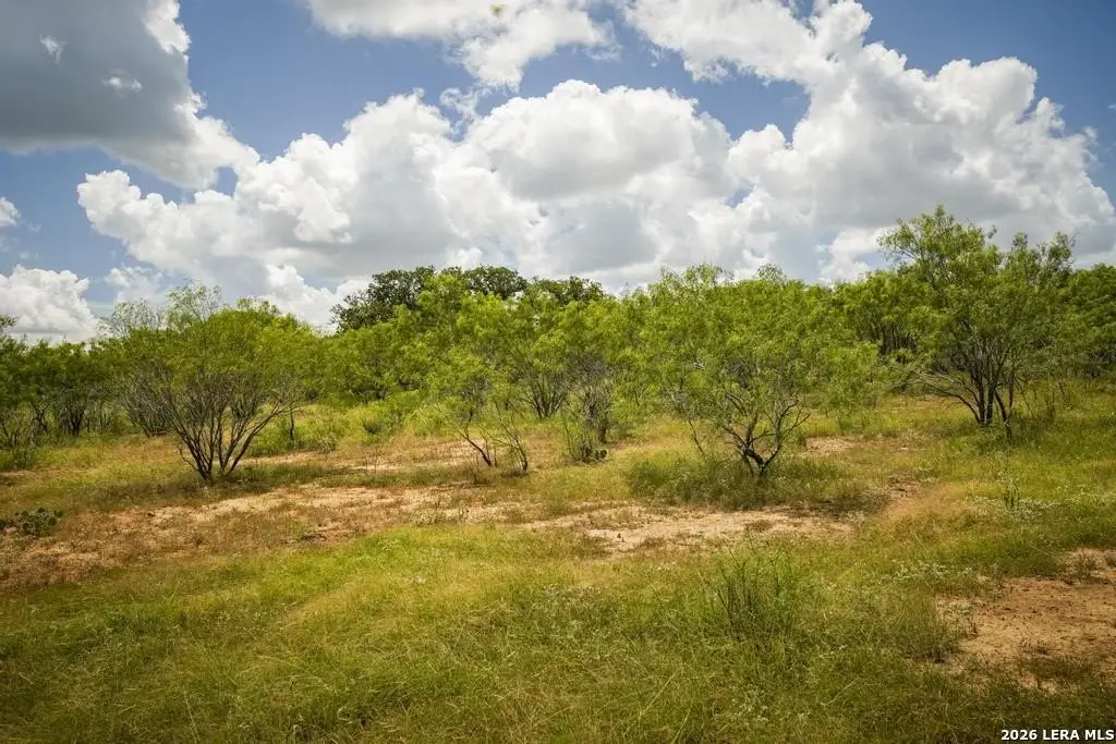 Picture 29
