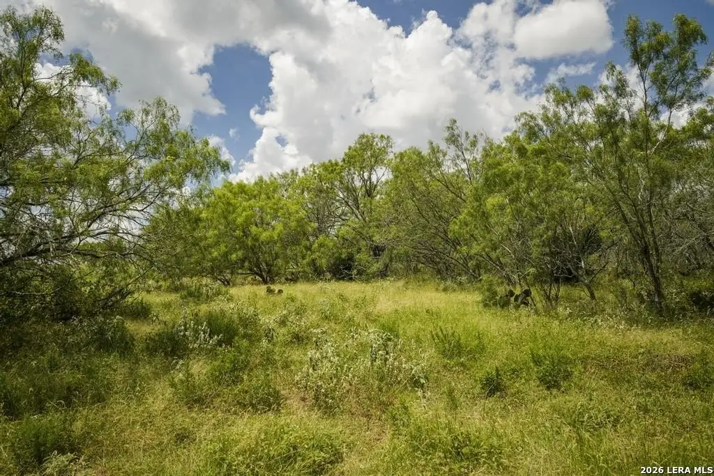 Picture 36