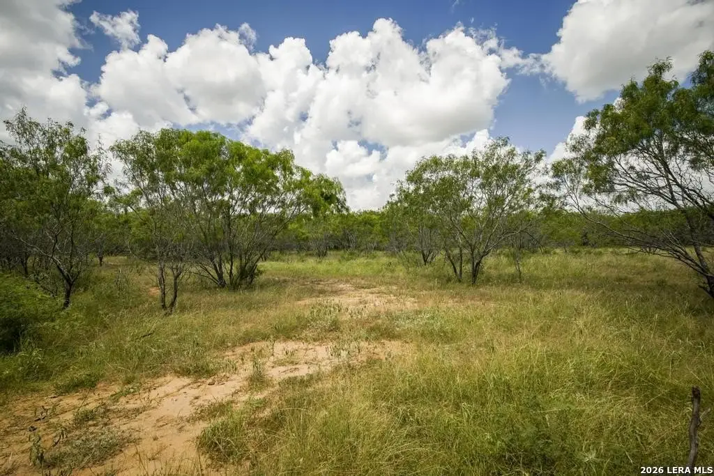 Picture 22