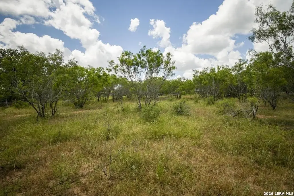 Picture 25