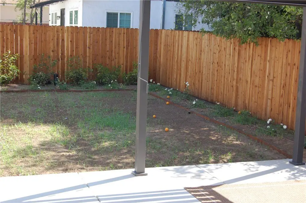 Picture 14