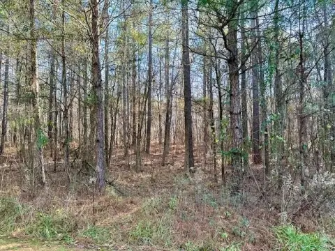 Waverly Hall Land For Sale