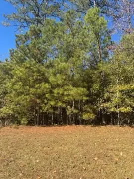 Land in Callaway Gardens Resort