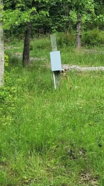 Picture 10