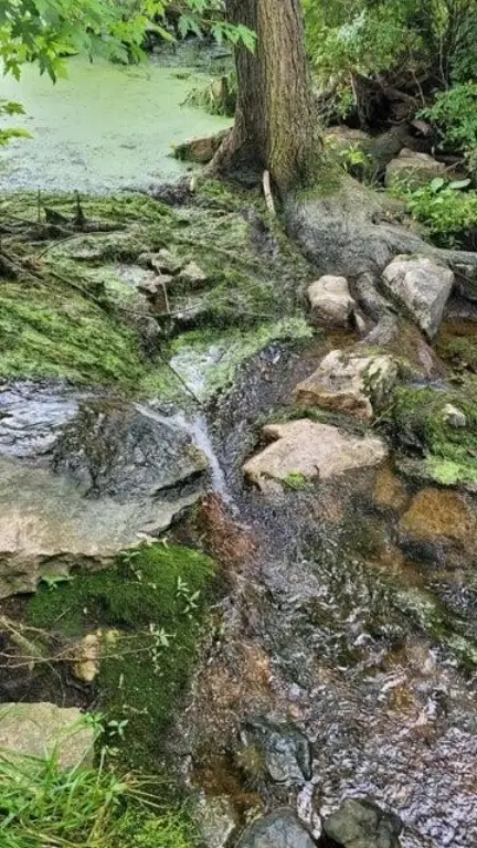 Picture 4