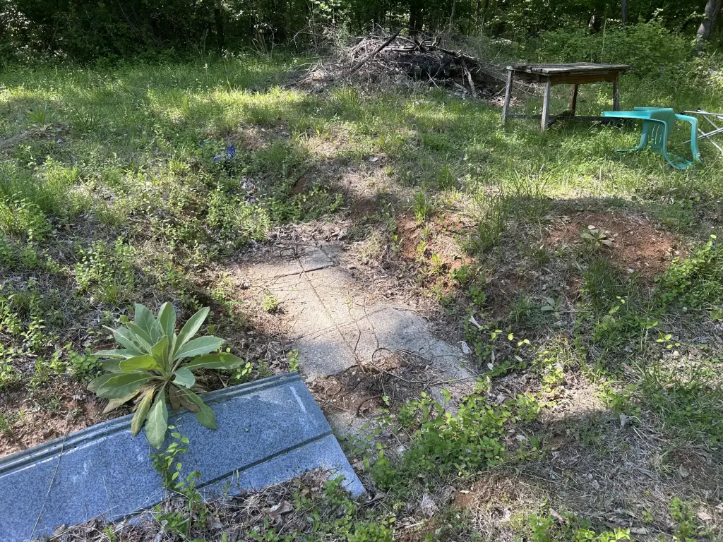 Picture 6