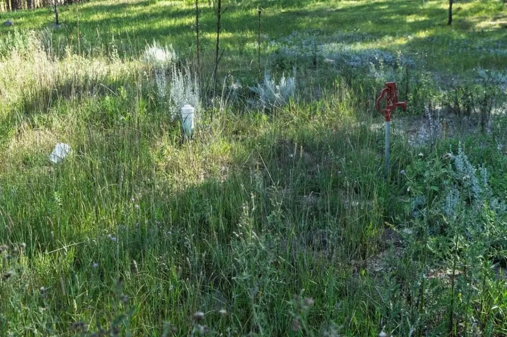 Picture 41
