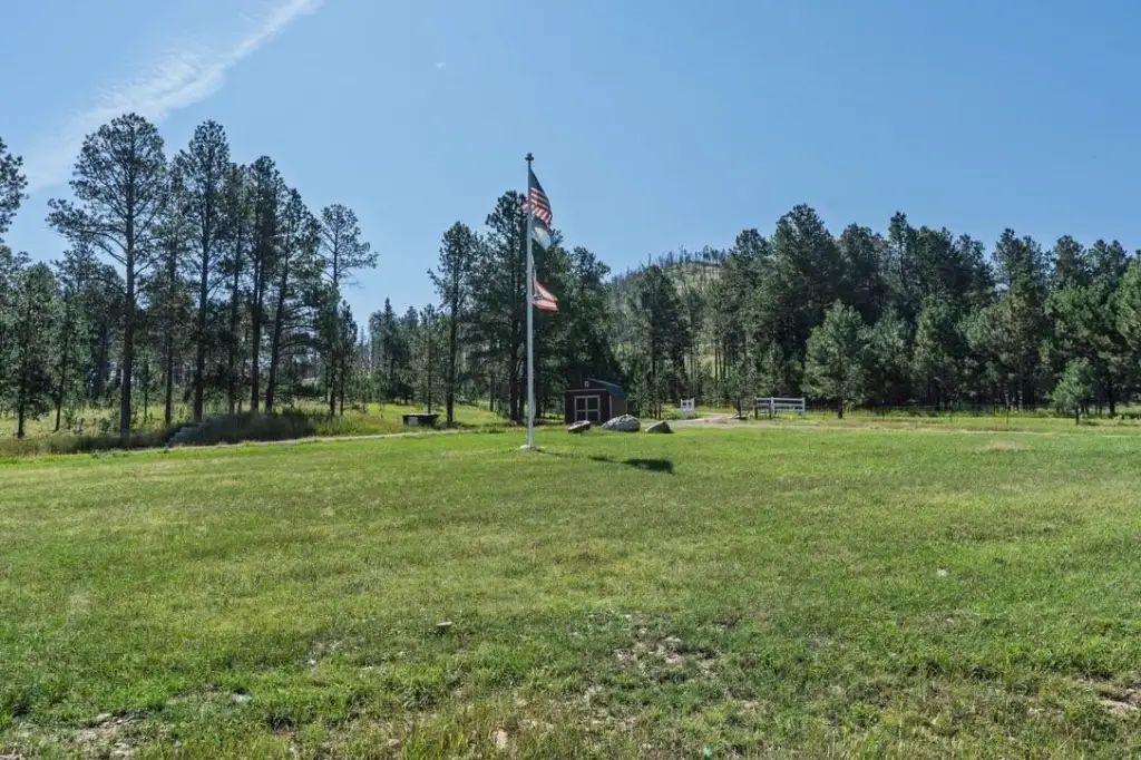 Picture 4