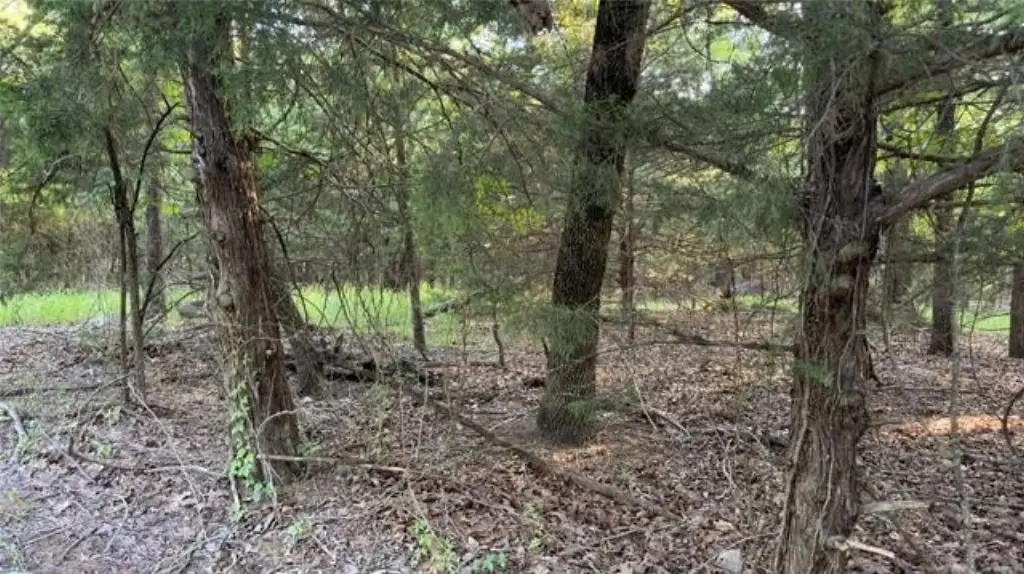 Picture 12